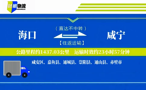 海口到咸宁物流公司