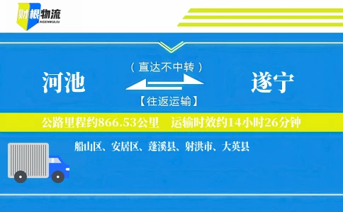 河池到遂宁物流公司