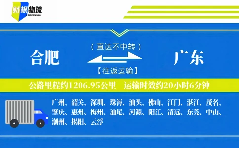 合肥到广东物流公司