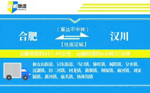 合肥到汉川物流公司