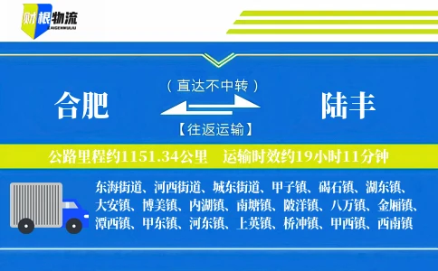 合肥到陆丰物流公司