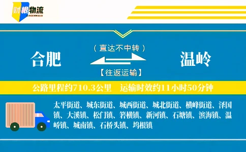 合肥到温岭物流公司