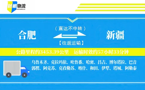 合肥到新疆物流公司