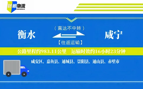 衡水到咸宁物流公司