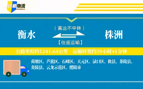 衡水到株洲物流公司