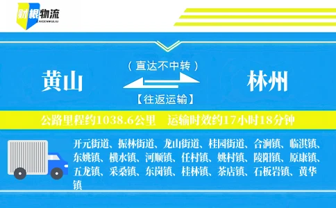 黄山到林州物流公司