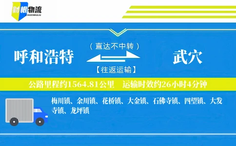 呼和浩特到武穴物流公司