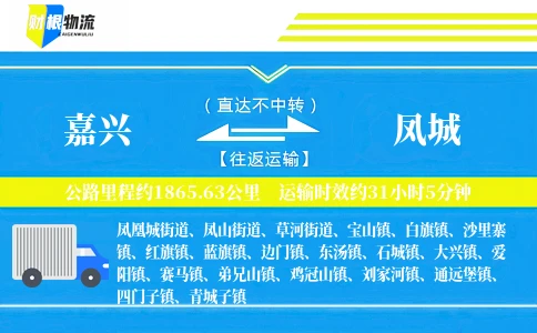嘉兴到凤城物流公司