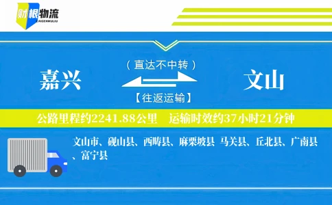 嘉兴到文山物流公司