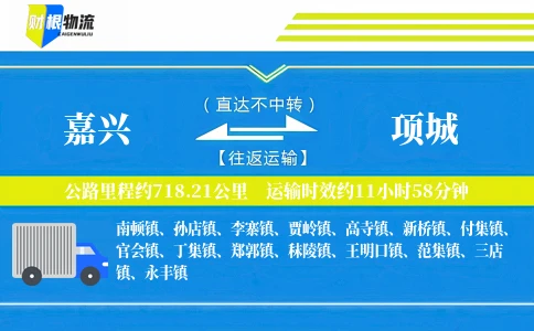 嘉兴到项城物流公司