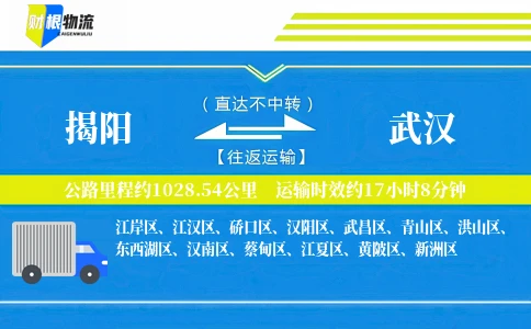 揭阳到武汉物流公司