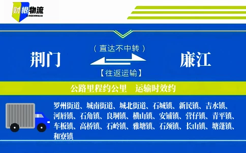 荆门到廉江物流公司