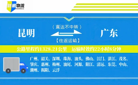 昆明到广东物流公司