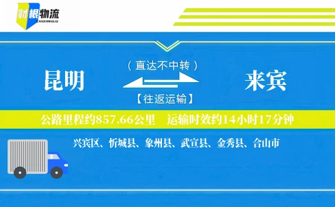 昆明到来宾物流公司