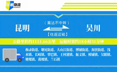 昆明到吴川物流公司
