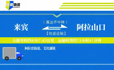 来宾到阿拉山口物流公司