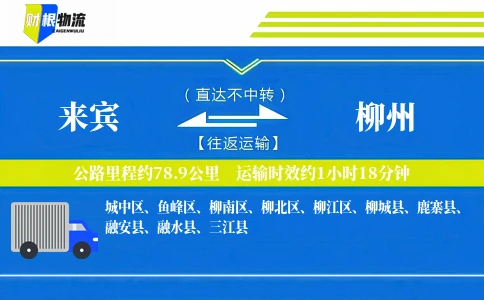 来宾到柳州物流公司