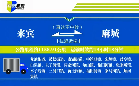 来宾到麻城物流公司