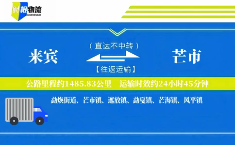 来宾到芒市物流公司