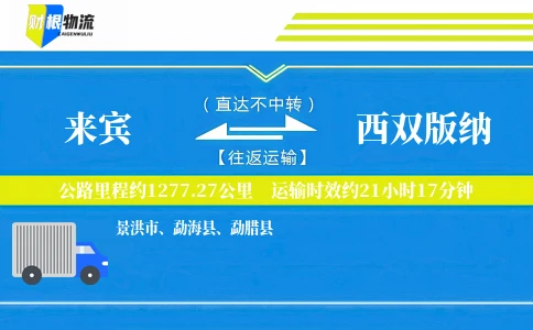 来宾到西双版纳物流公司