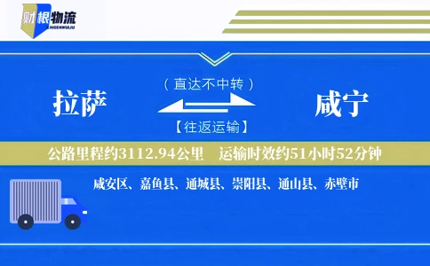 拉萨到咸宁物流公司