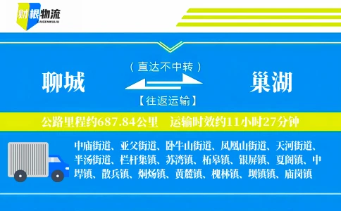 聊城到巢湖物流公司