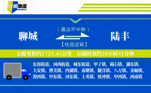 聊城到陆丰物流公司