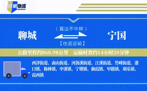 聊城到宁国物流公司