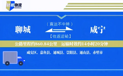 聊城到咸宁物流公司