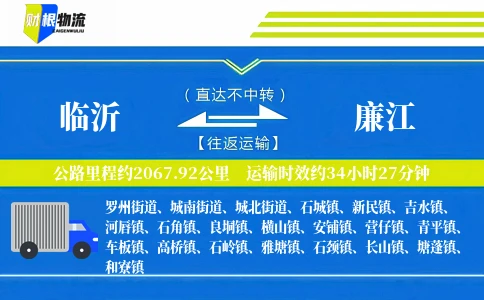 临沂到廉江物流公司