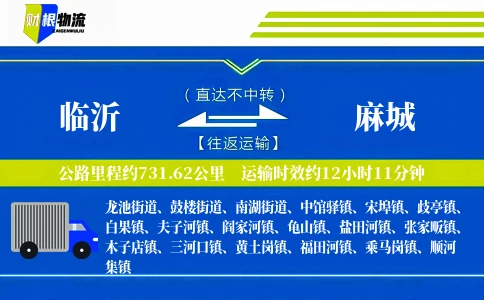 临沂到麻城物流公司