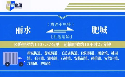 丽水到肥城物流公司