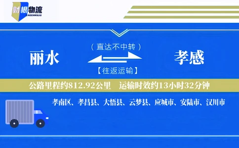 丽水到孝感物流公司