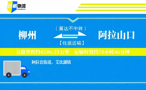 柳州到阿拉山口物流公司
