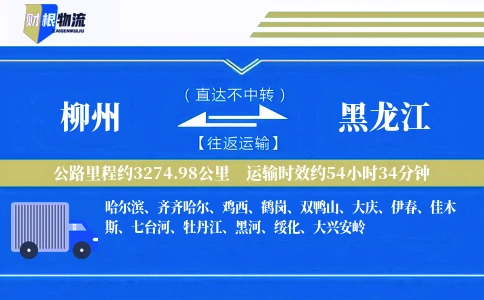 柳州到黑龙江物流公司