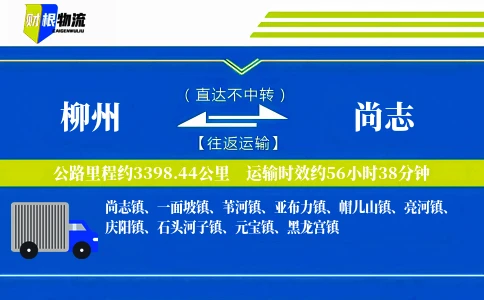 柳州到尚志物流公司