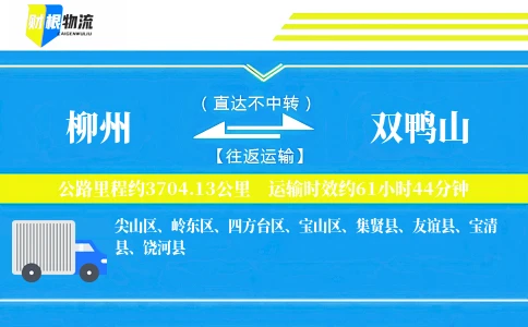 柳州到双鸭山物流公司