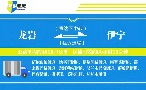 龙岩到伊宁物流公司