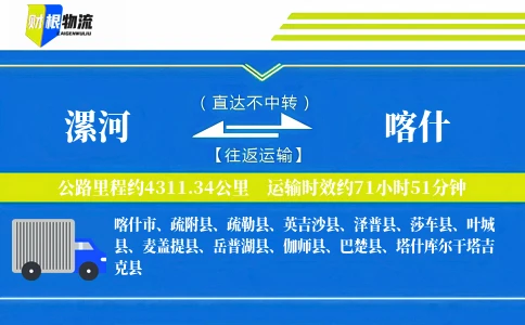 漯河到喀什物流公司
