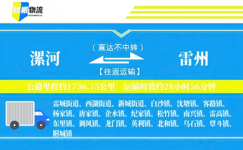 漯河到雷州物流公司