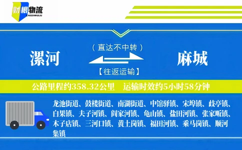漯河到麻城物流公司