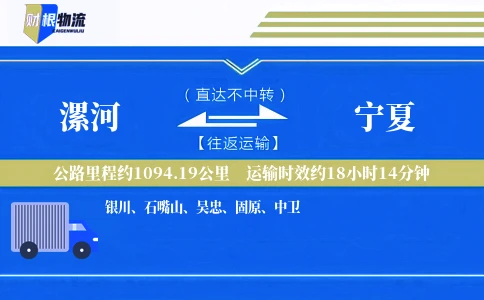 漯河到宁夏物流公司