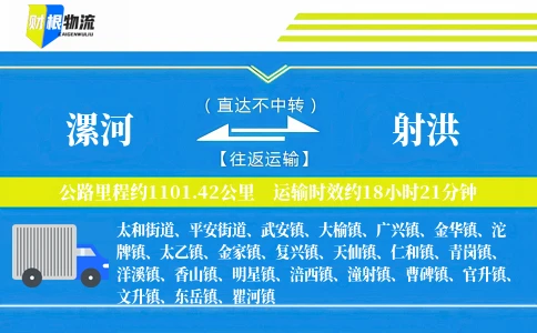 漯河到射洪物流公司