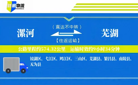 漯河到芜湖物流公司