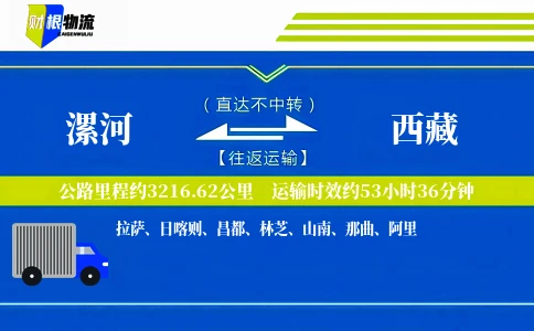 漯河到西藏物流公司