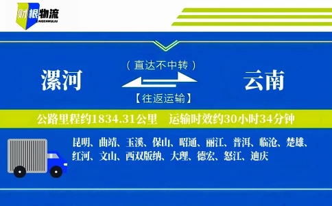 漯河到云南物流公司