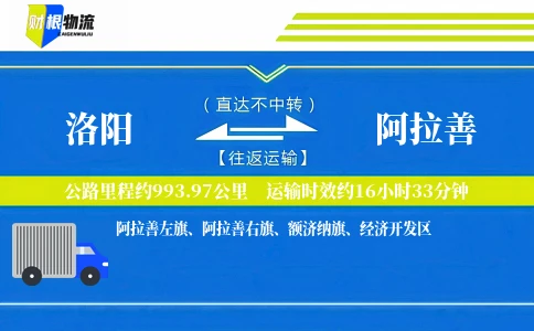 洛阳到阿拉善物流公司