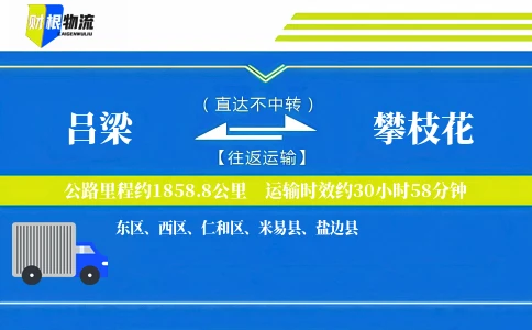 吕梁到攀枝花物流公司