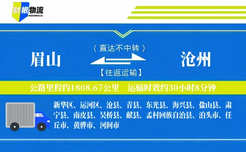眉山到沧州物流公司