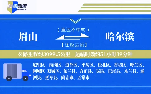 眉山到哈尔滨物流公司